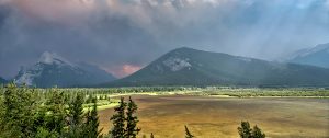 Freelance Ethan Lou named 2019 Visiting Journalist in Forestry