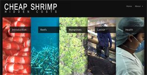 Cheap Shrimp, Hidden Costs
